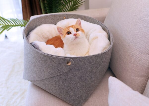 pet bed - Image 7