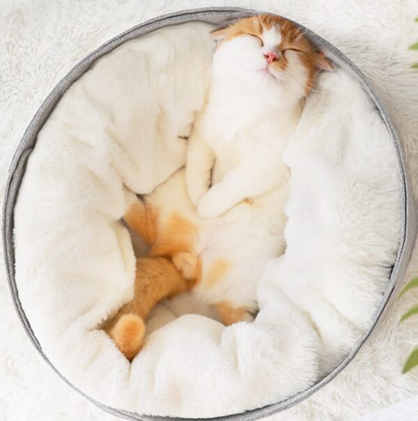 pet bed - Image 6